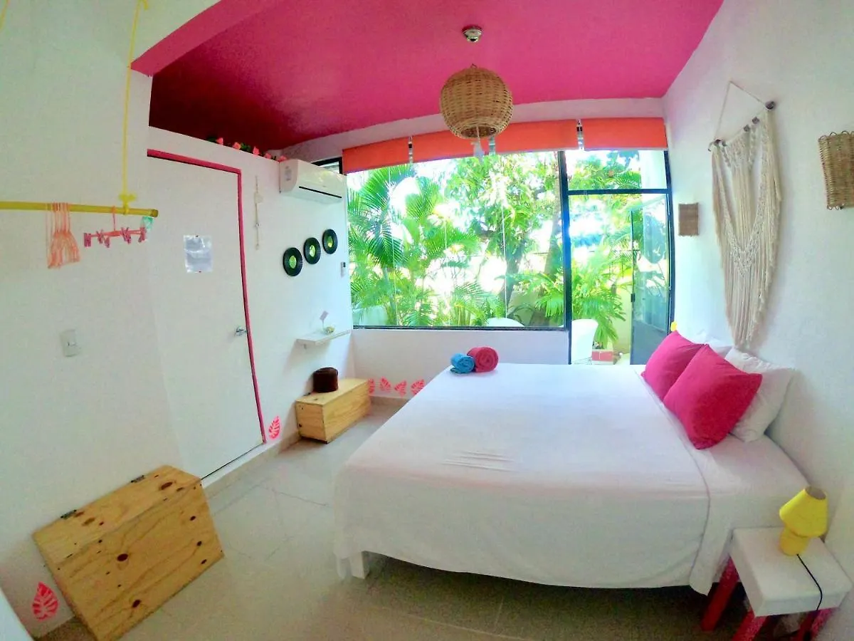 신데 델 카르멘 Amaranta B&B 멕시코